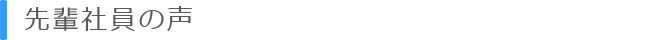 先輩社員の声